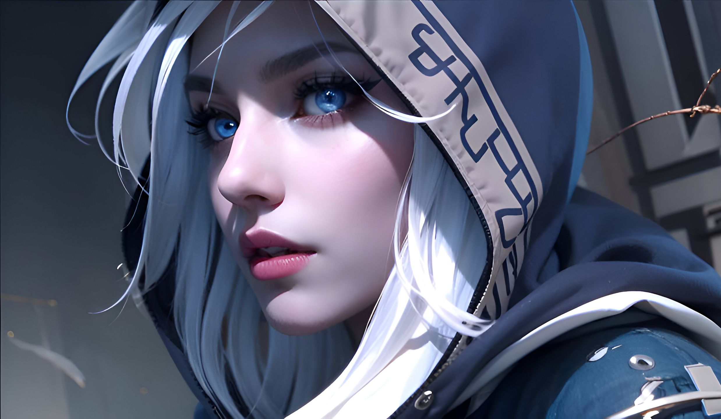 走来的历程 走来的历程